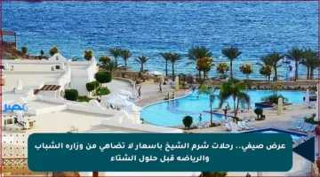 عرض صيفي.. رحلات شرم الشيخ بأسعار لا تضاهى من وزارة الشباب والرياضة قبل حلول الشتاء